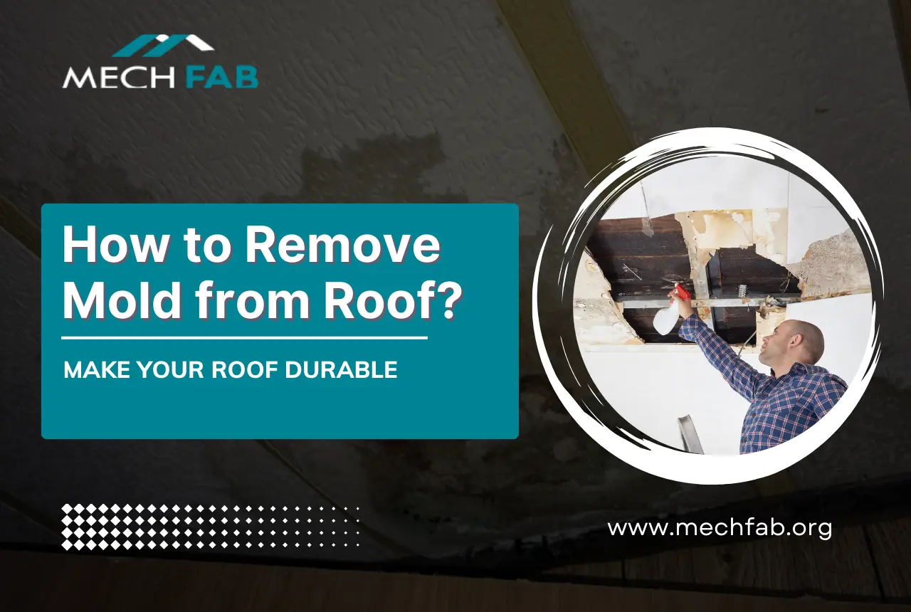 how to remove mold from roof