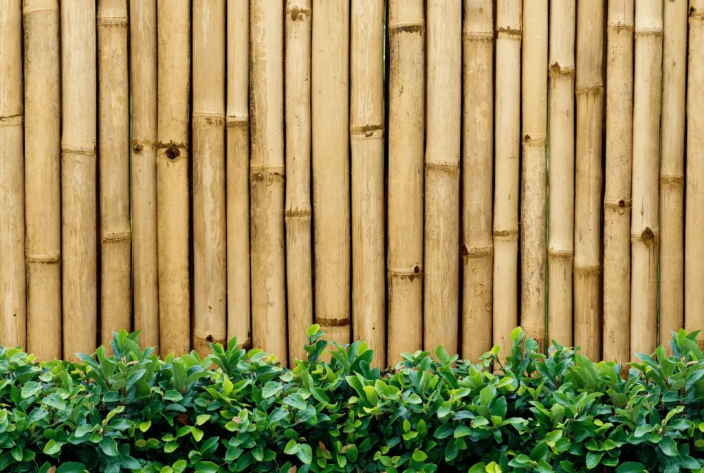 Bamboo Fencing