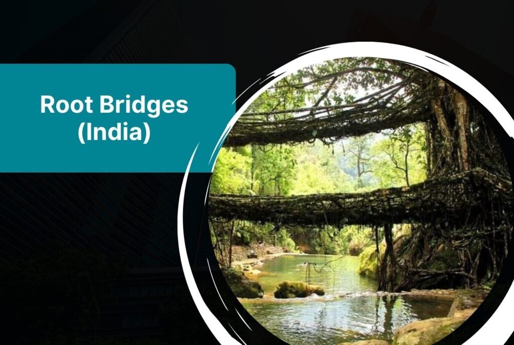 Root Bridges (India)